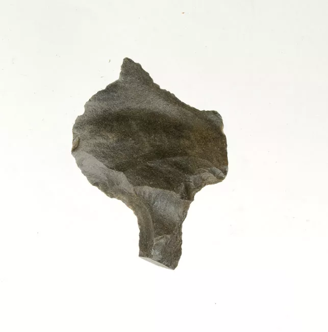 Mata'a
