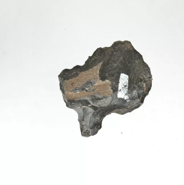 Mata'a