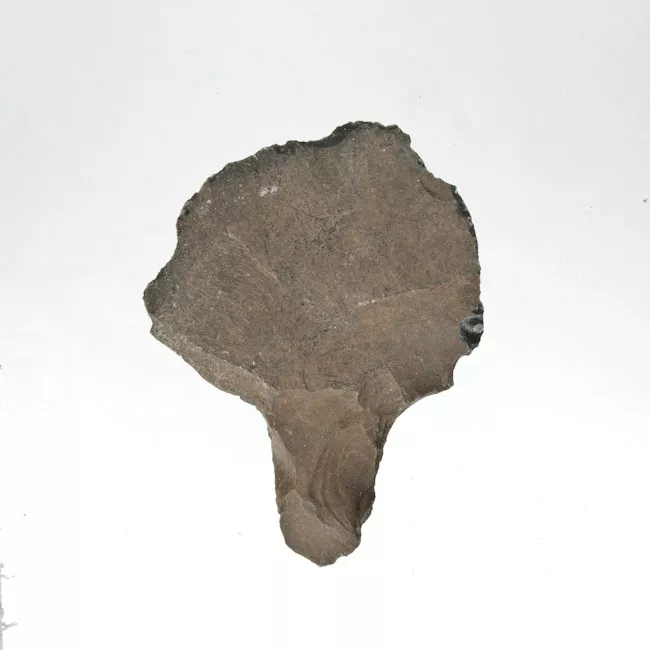 Mata'a