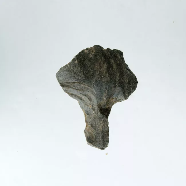 Mata'a