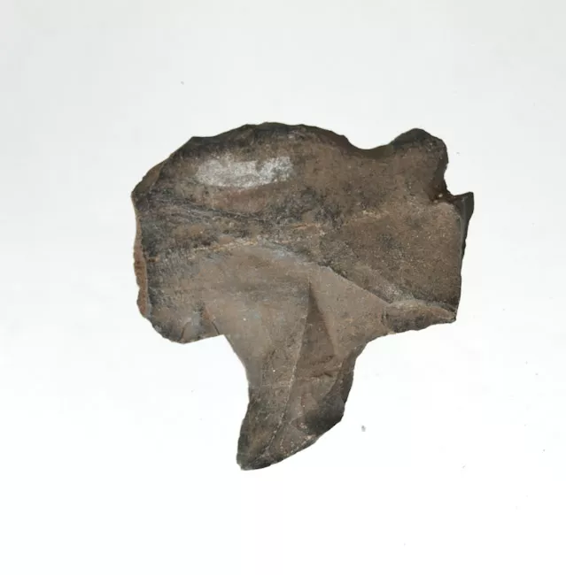 Mata'a