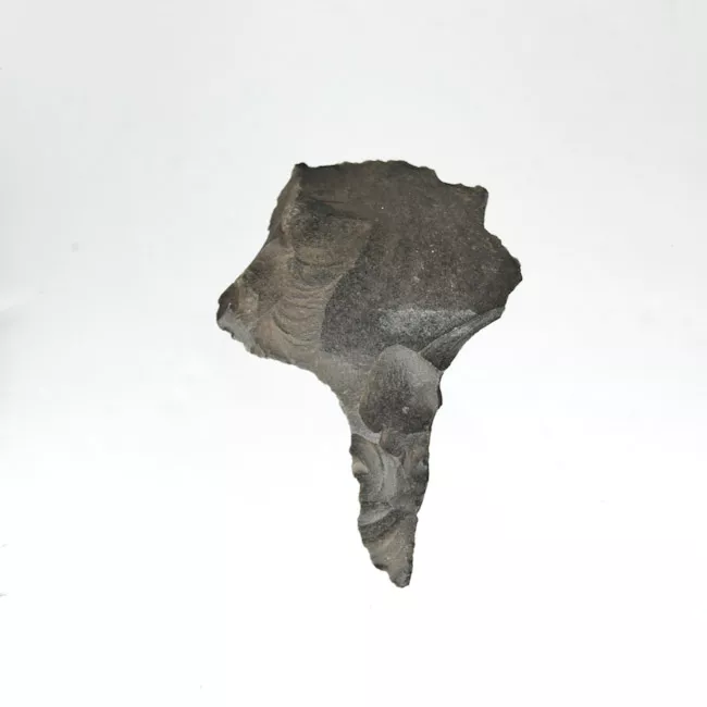 Mata'a