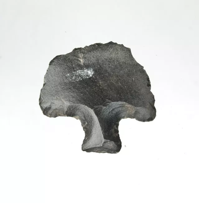 Mata'a
