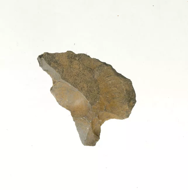 Mata'a