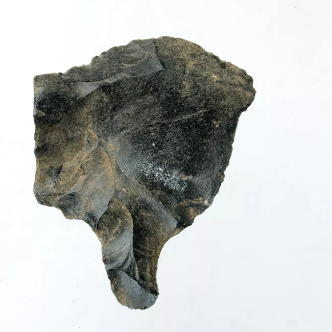 Mata'a
