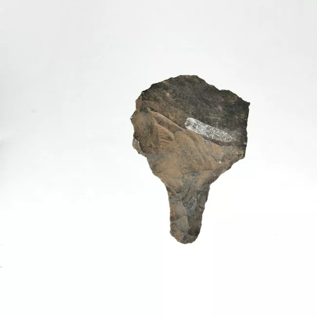Mata'a