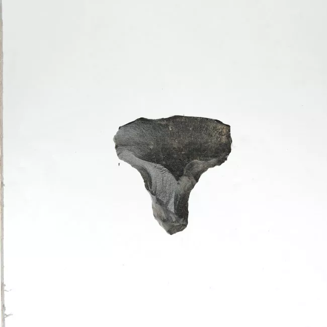 Mata'a