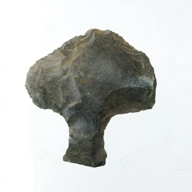 Mata'a