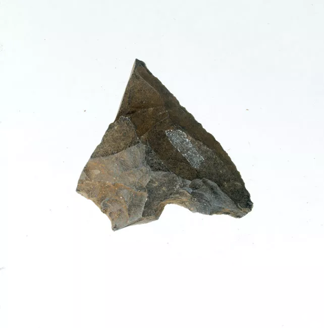 Mata'a