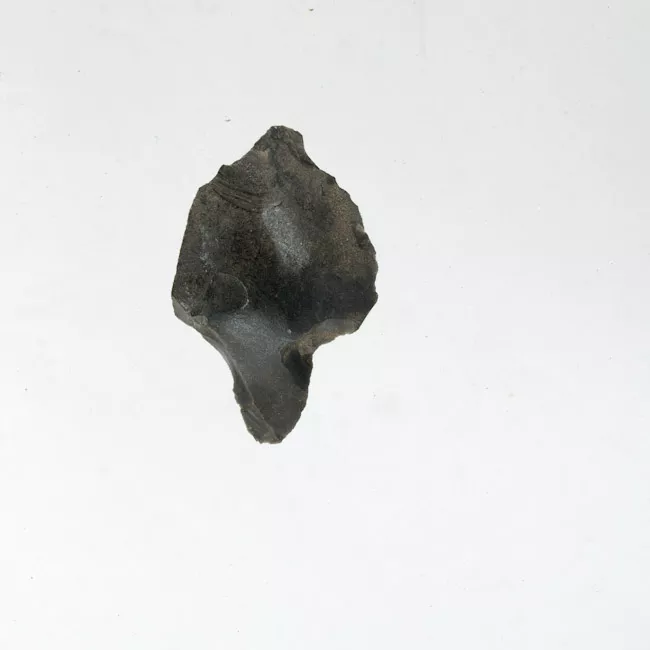 Mata'a