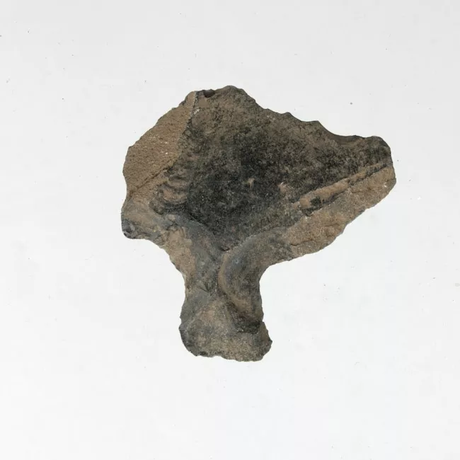 Mata'a
