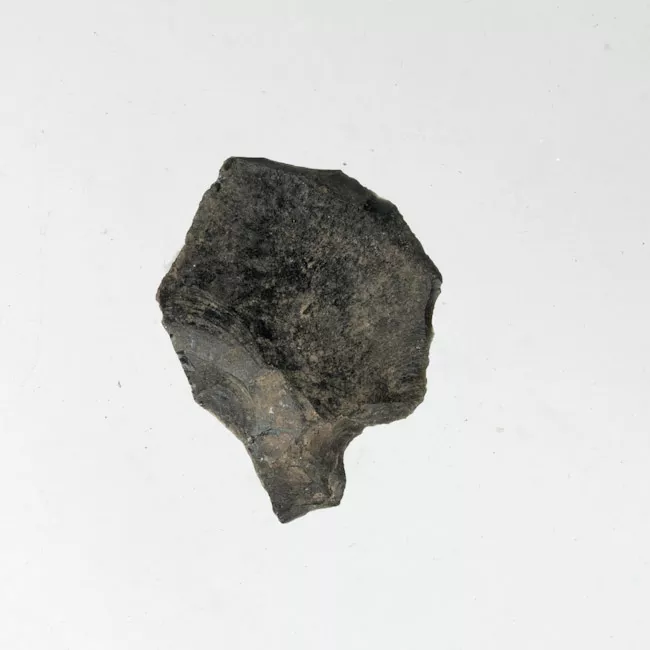 Mata'a