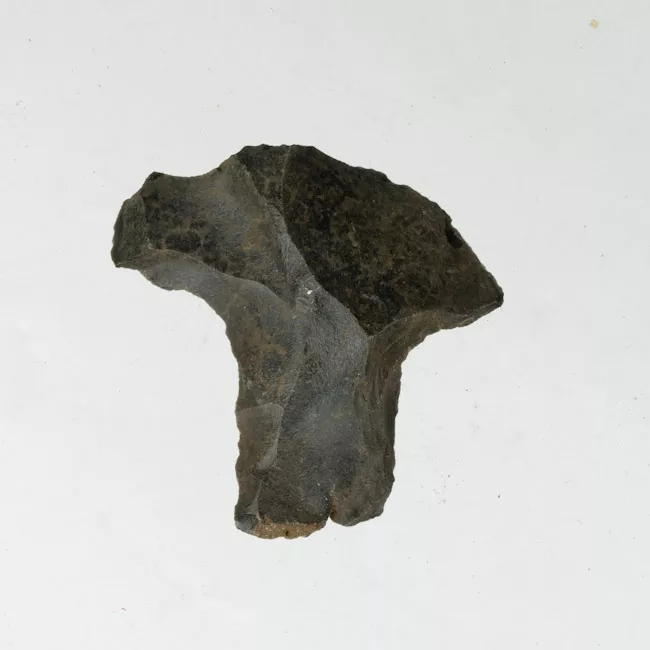 Mata'a