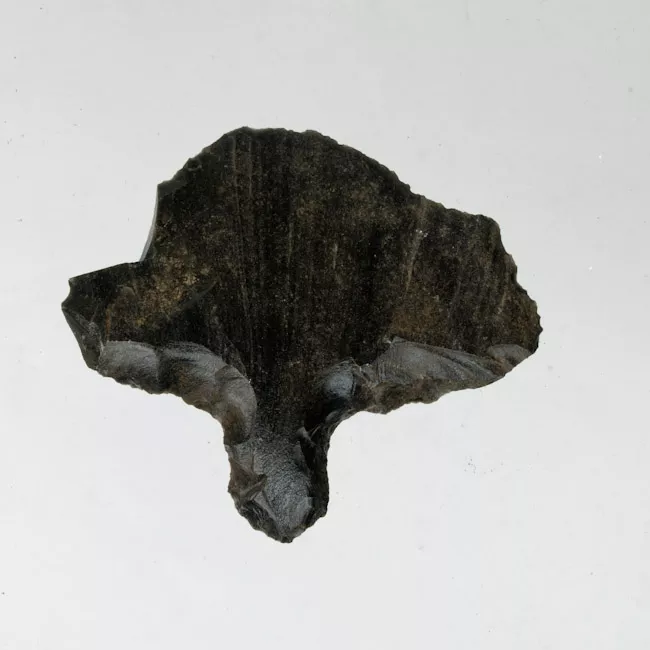 Mata'a