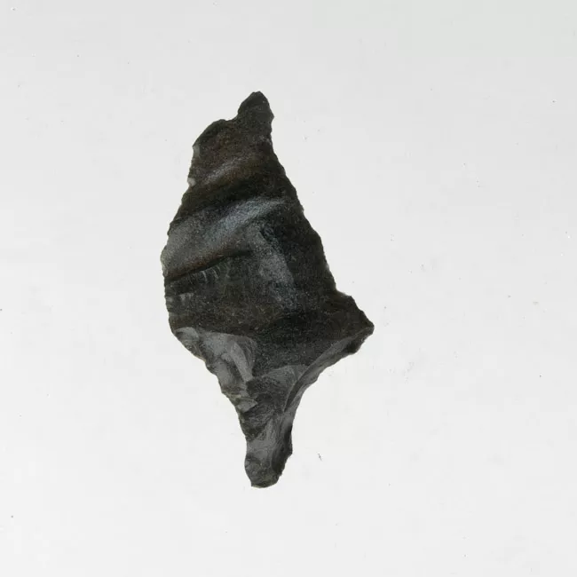Mata'a