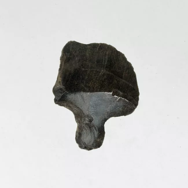 Mata'a