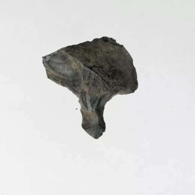 Mata'a