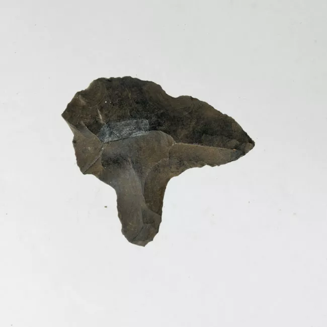 Mata'a