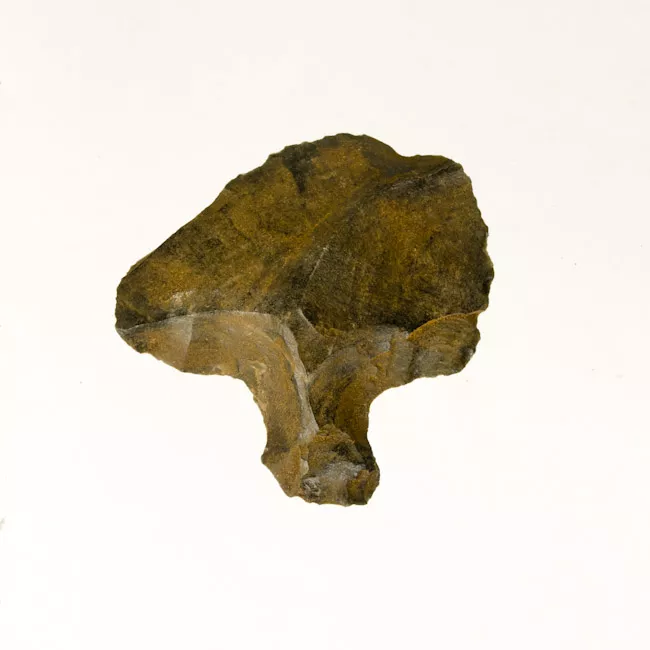 Mata'a