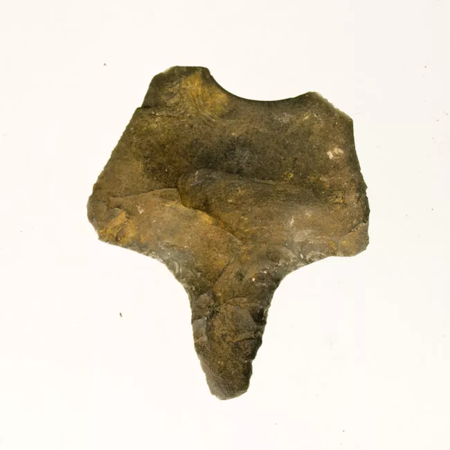 Mata'a