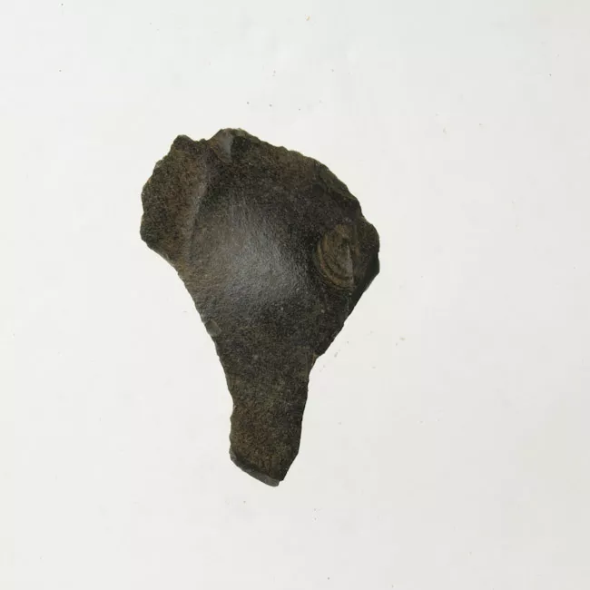 Mata'a