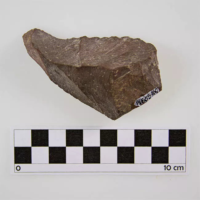 Raedera