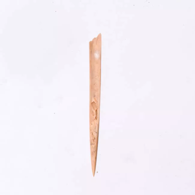 Aguja (arqueológico y etnográfico)