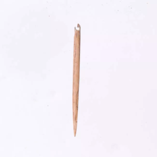 Aguja (arqueológico y etnográfico)