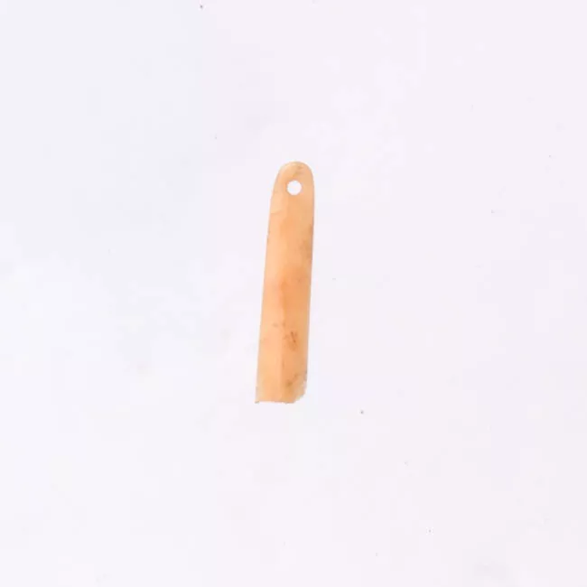 Aguja (arqueológico y etnográfico)