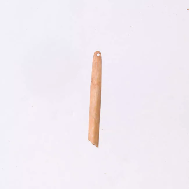 Aguja (arqueológico y etnográfico)