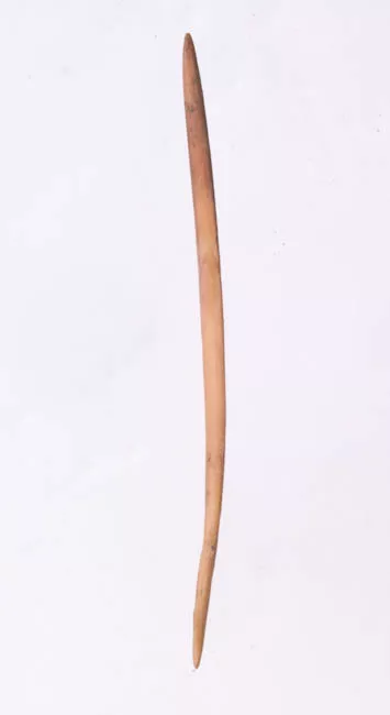 Aguja (arqueológico y etnográfico)