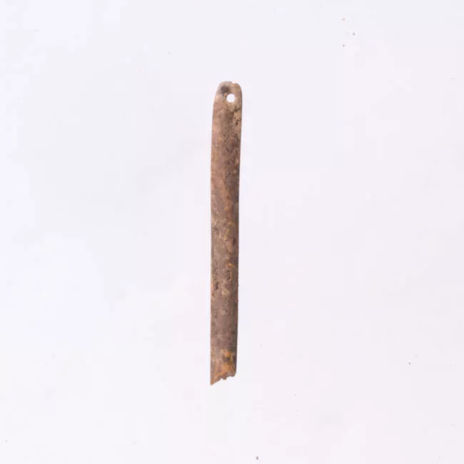 Aguja (arqueológico y etnográfico)