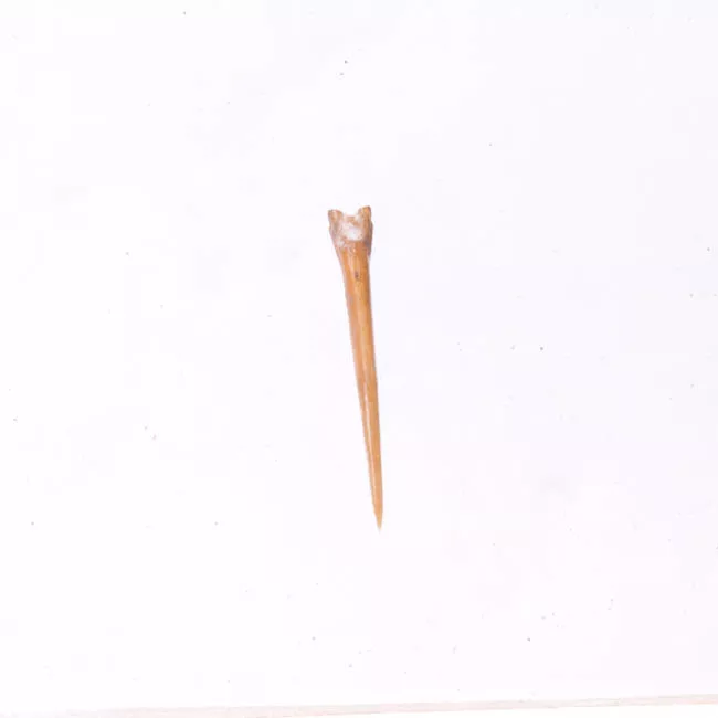 Punzón (arqueológico)