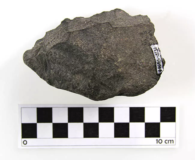 Raedera