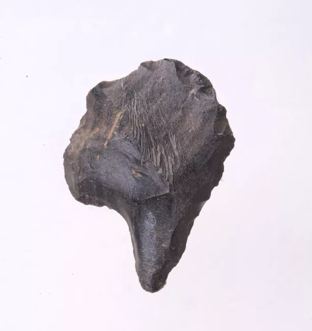 Mata'a