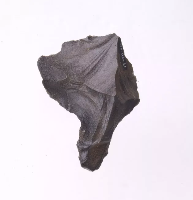 Mata'a