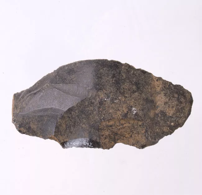 Mata'a
