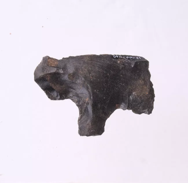 Mata'a
