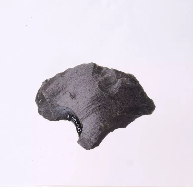 Mata'a