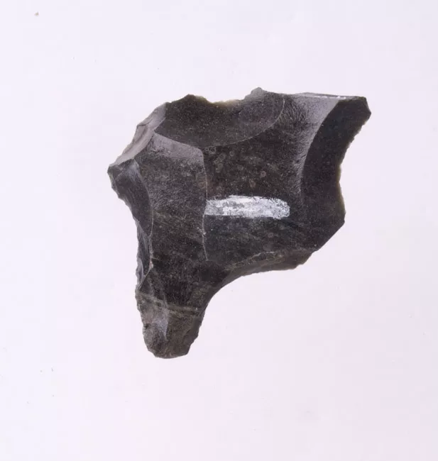 Mata'a