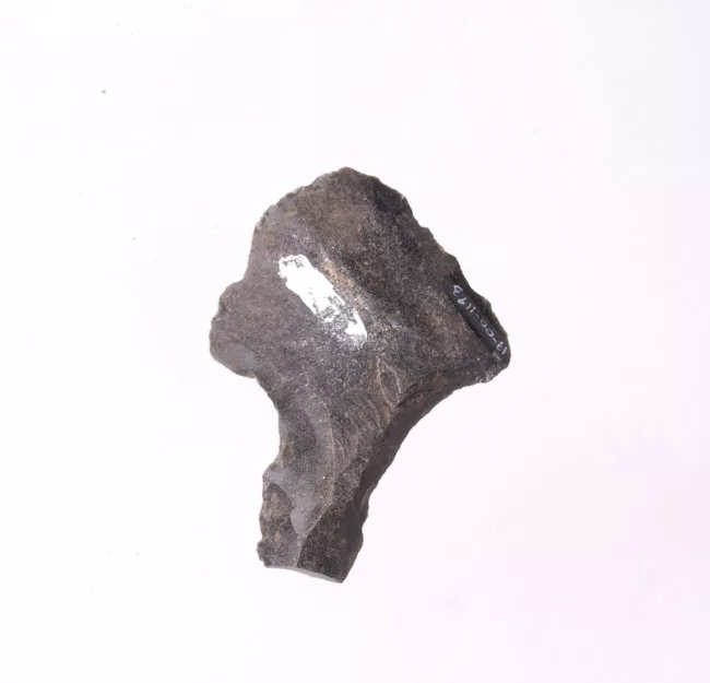 Mata'a