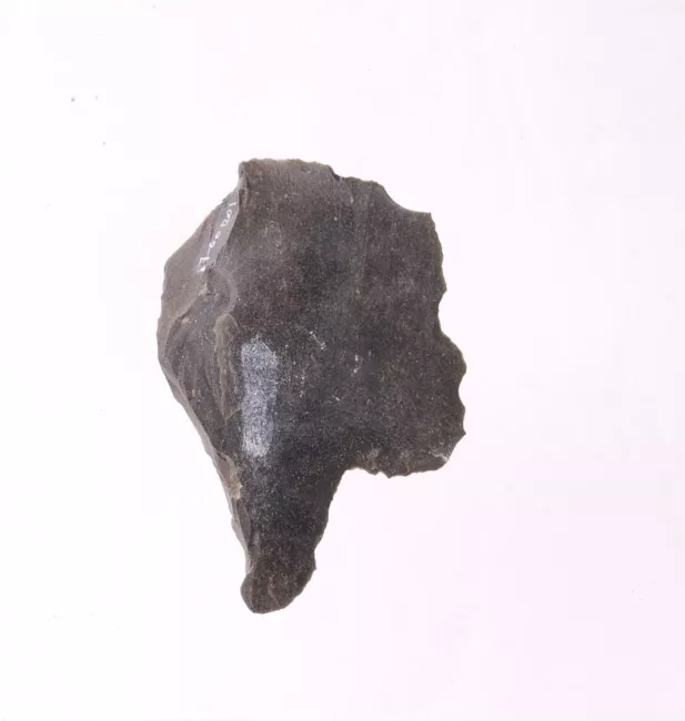 Mata'a