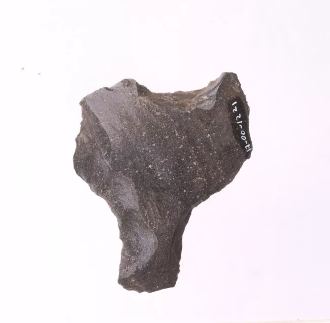 Mata'a