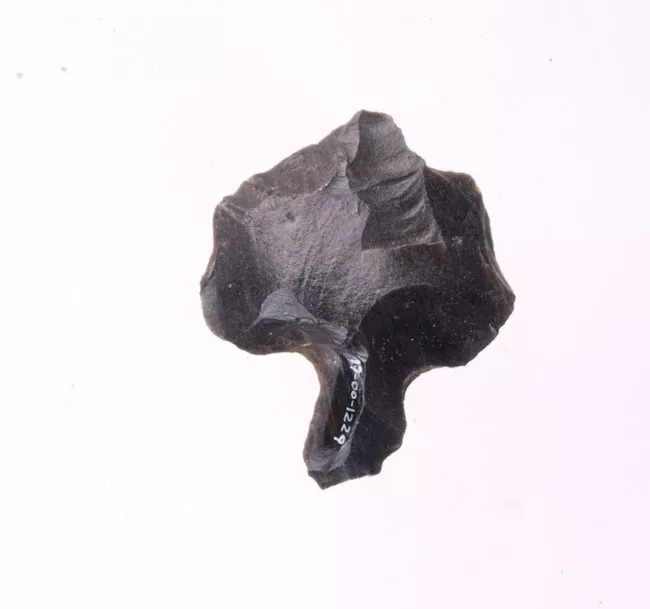 Mata'a