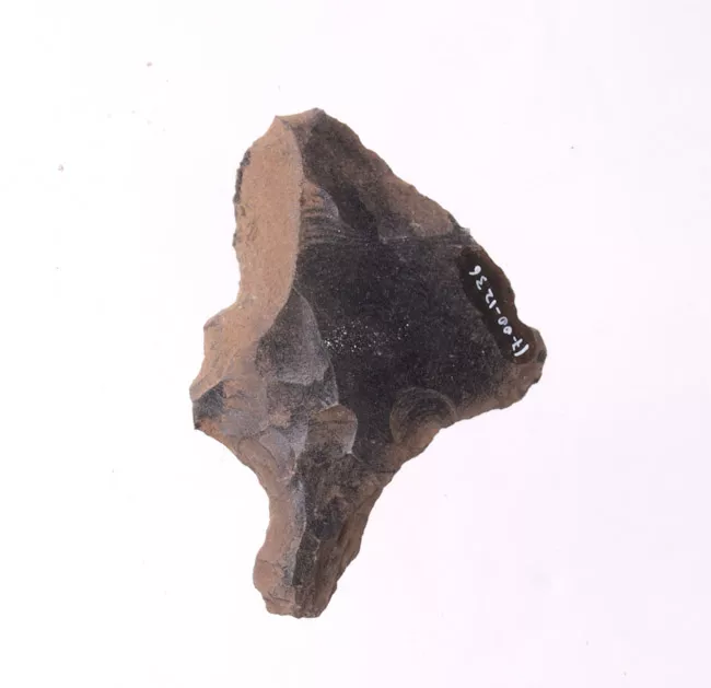 Mata'a