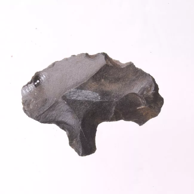 Mata'a