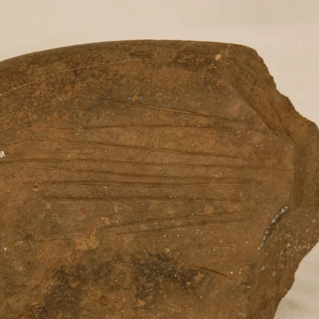 Petroglifo