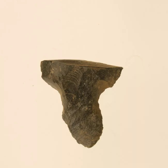 Mata'a