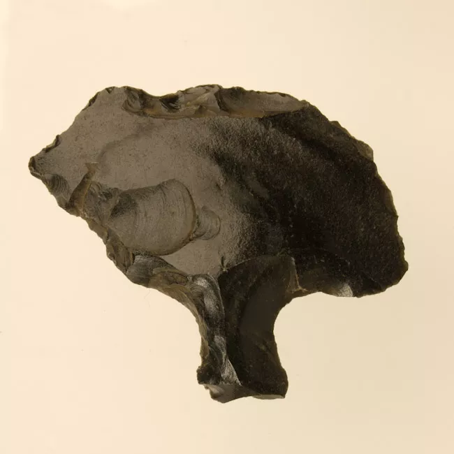 Mata'a
