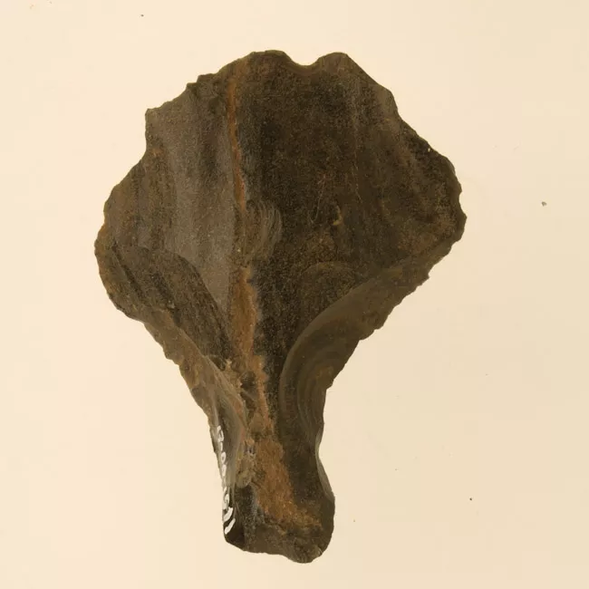 Mata'a